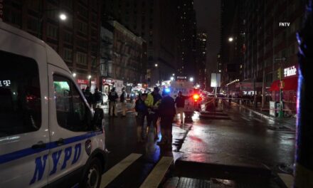 Hombre se declara culpable del ataque con machete en Times Square