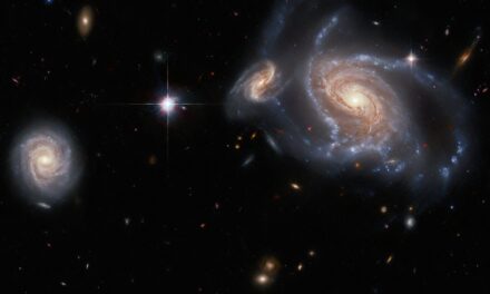 Hubble observa un vasto vecindario galáctico