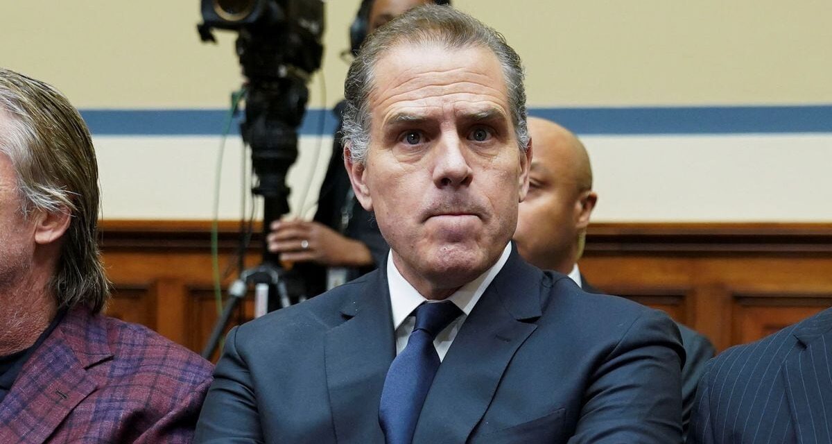 Hunter Biden acepta una citación del Congreso para declarar a puerta cerrada |  internacional