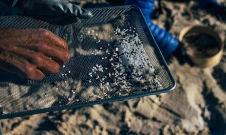 La Fiscalía de Medio Ambiente abre diligencias por los vertidos de 'pellets' de plástico en las playas de Galicia |  Cambio climático |  Clima y Medio Ambiente