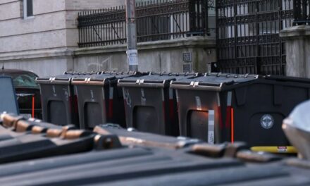 La ciudad anuncia importantes victorias en la guerra contra las ratas