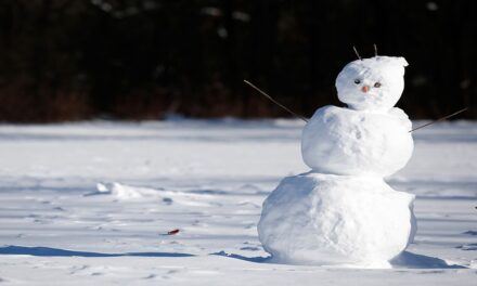 La historia del muñeco de nieve.