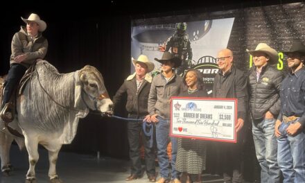 La monta de toros regresa al Madison Square Garden