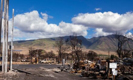 La monumental tarea de limpiar los escombros del incendio de Lahaina