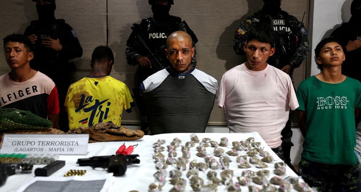 Los Choneros, Los Lobos o Los Lagartos: así se gestaron las 22 bandas más peligrosas de Ecuador