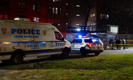Los homicidios y tiroteos disminuyeron en la ciudad de Nueva York a medida que aumentaron las agresiones graves