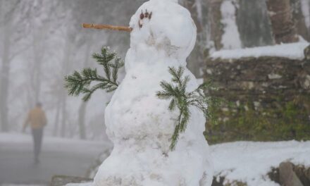 Madrid, Aragón, Castilla y León, Cataluña, Navarra, País Vasco y La Rioja, bajo aviso por nieve |  España