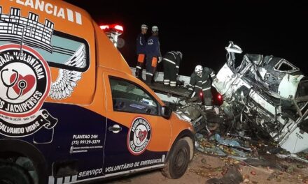 Mueren 25 personas en un choque frontal entre un microbús y un camión en Brasil |  internacional