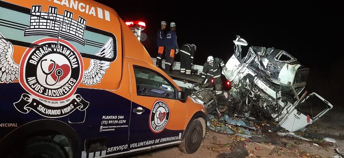Mueren 25 personas en un choque frontal entre un microbús y un camión en Brasil |  internacional