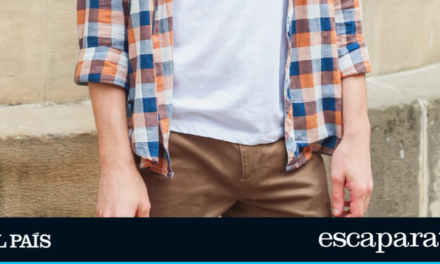 Ocho camisetas básicas de marca por menos de 30 euros |  Escaparate: compras y ofertas