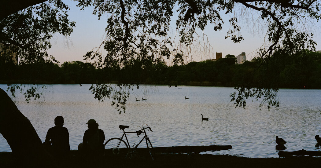 Para arreglar nuestros parques, ¿tal vez un recargo en las entradas de los Mets?