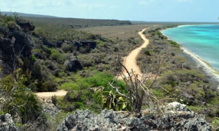 Pedernales en el desarrollo turístico del sur de República Dominicana