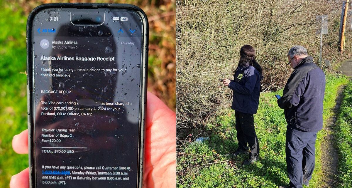 Por qué un iPhone sobrevivió a la caída desde un avión si se agrieta al caer por las escaleras |  Tecnología