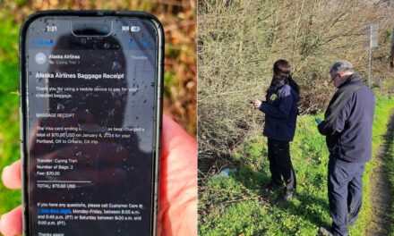Por qué un iPhone sobrevivió a la caída desde un avión si se agrieta al caer por las escaleras |  Tecnología