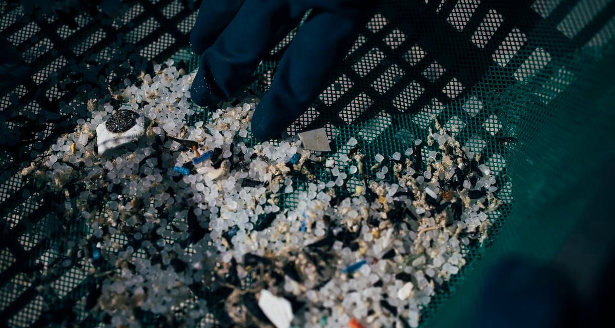 Preguntas y respuestas: ¿Qué son los 'pellets' de plástico recogidos en Galicia?  ¿Cuántos han caído al mar?  |  Medioambiente