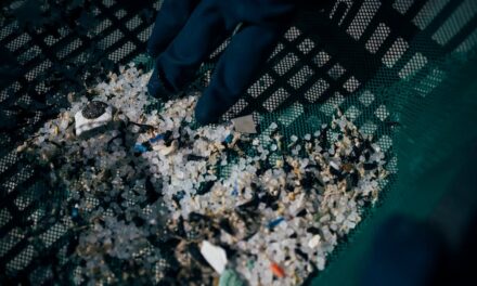 Preguntas y respuestas: ¿Qué son los 'pellets' de plástico recogidos en Galicia?  ¿Cuántos han caído al mar?  |  Medioambiente