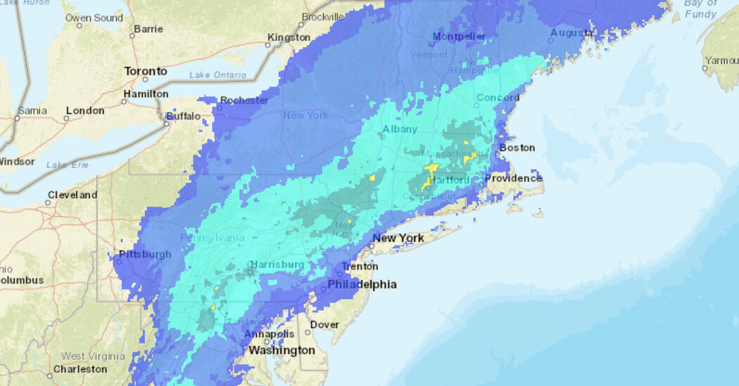 Pronóstico de tormenta invernal: Nueva York podría nevar este fin de semana