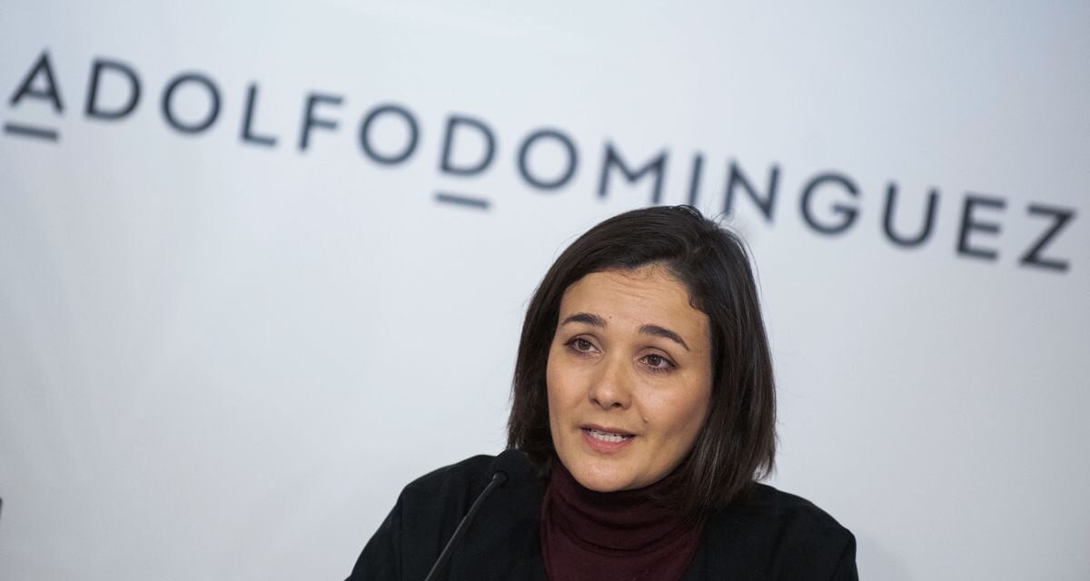 Resultados: Adolfo Domínguez se mantiene en pérdidas pese a vender un 13% más hasta el tercer trimestre |  Economía