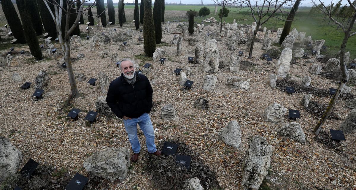 Solo el 3,6% de los terrenos de la ciudad vaccea de Pinta, parcialmente destruido por dos excavadoras, son públicos |  Cultura