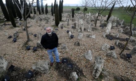 Solo el 3,6% de los terrenos de la ciudad vaccea de Pinta, parcialmente destruido por dos excavadoras, son públicos |  Cultura