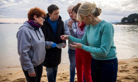 Sumar agita la crisis de los 'pellets' en el desembarco de Díaz en la precampaña gallega |  Elecciones Galicia