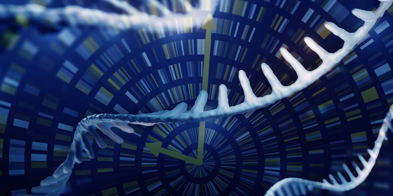 Técnica no invasiva revela cómo cambia la expresión genética de las células con el tiempo |  Noticias del MIT
