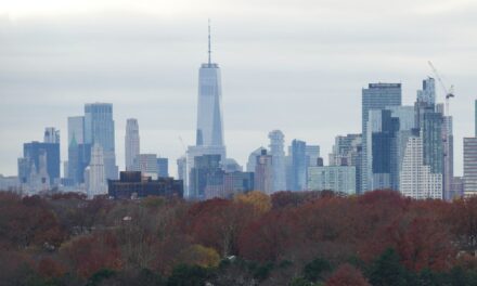 The New York City Economic Tracker: 8 de enero