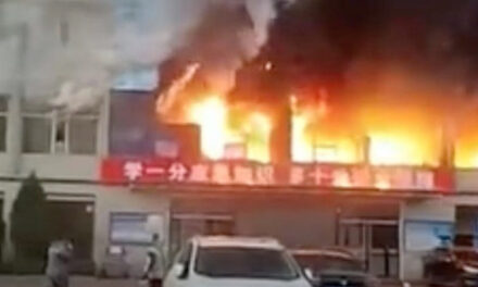 Tragedia en China – Remolacha