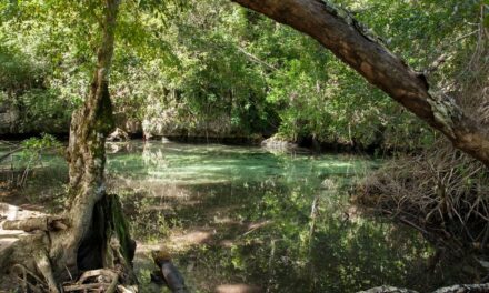 Un chapuzón en los ríos y manantiales de la República Dominicana