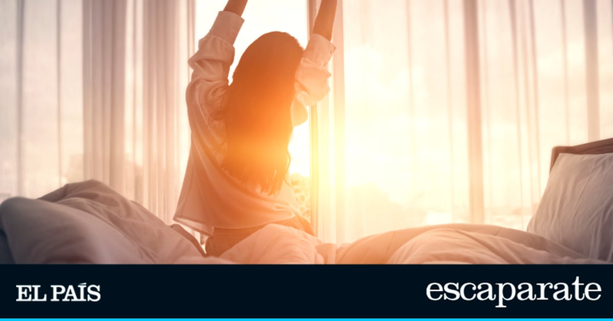 Un despertador con luz de amanecer: ¿el secreto para empezar bien el día?  |  Lo más vendido |  Escapar