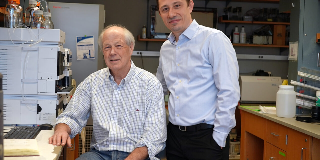 Un nuevo fármaco candidato puede reducir los quistes renales |  Noticias del MIT