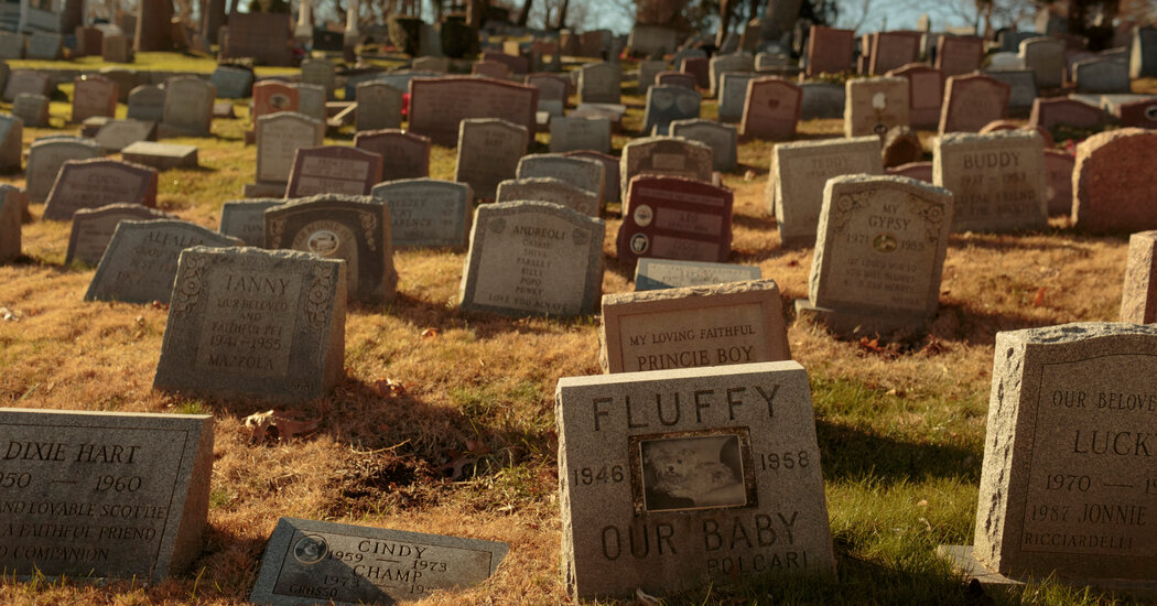 ¿Quién fue la misteriosa mujer enterrada sola en el cementerio de mascotas?