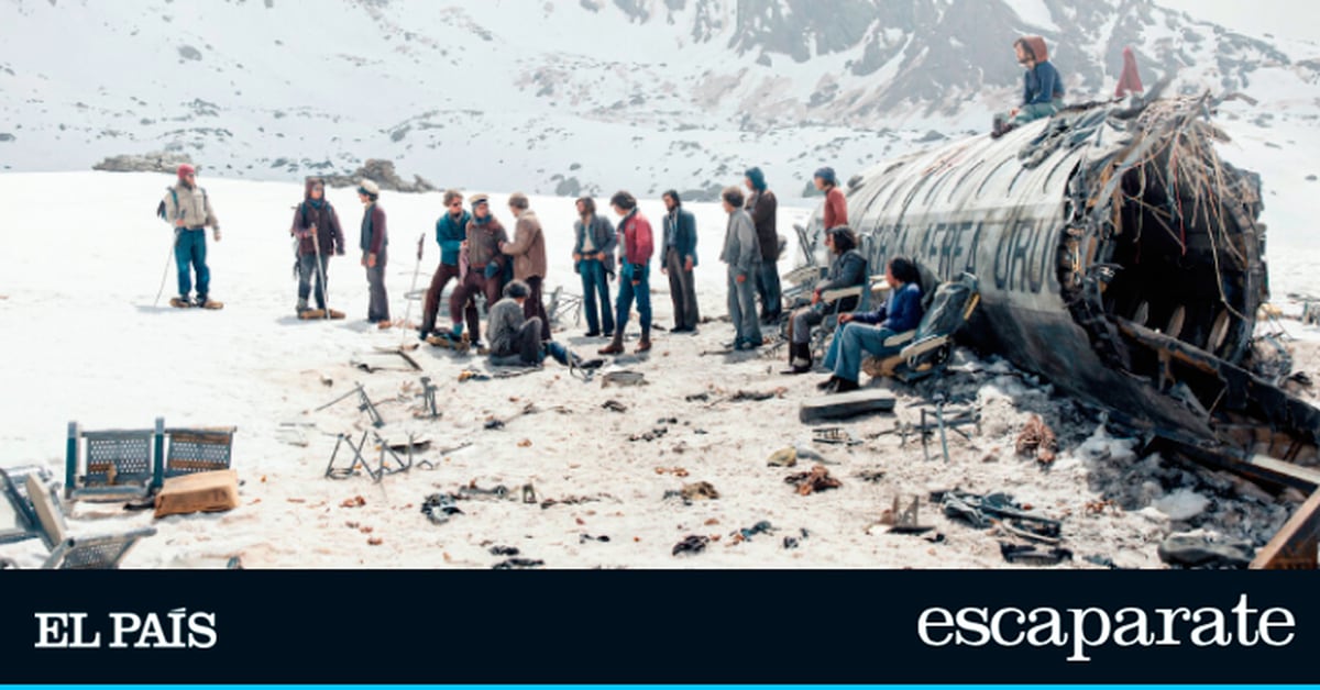 Todos los libros publicados sobre el accidente de avion de los Andes |  Estilo de vida |  Escapar