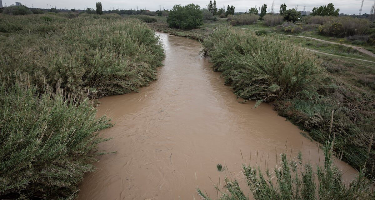 Las lluvias sacan a Cataluña de la UCI, aunque la sequía sigue |  Noticias de Cataluña