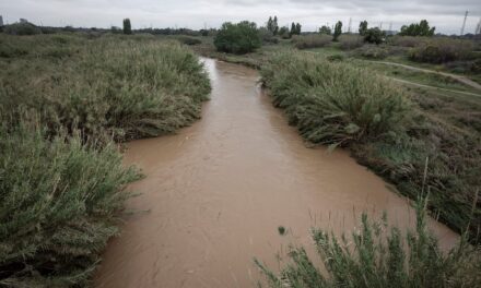 Las lluvias sacan a Cataluña de la UCI, aunque la sequía sigue |  Noticias de Cataluña
