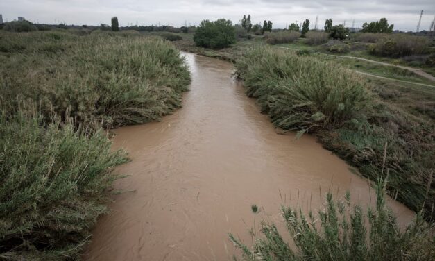 Las lluvias sacan a Cataluña de la UCI, aunque la sequía sigue |  Noticias de Cataluña
