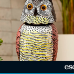 Este espantapájaros con forma de búho ahuyenta a las aves de forma natural |  Lo más vendido |  Escapar
