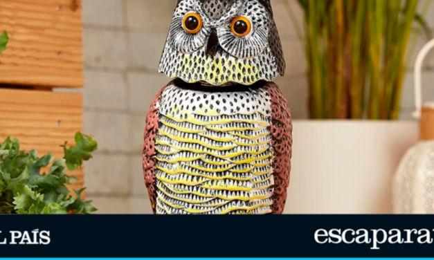 Este espantapájaros con forma de búho ahuyenta a las aves de forma natural |  Lo más vendido |  Escapar