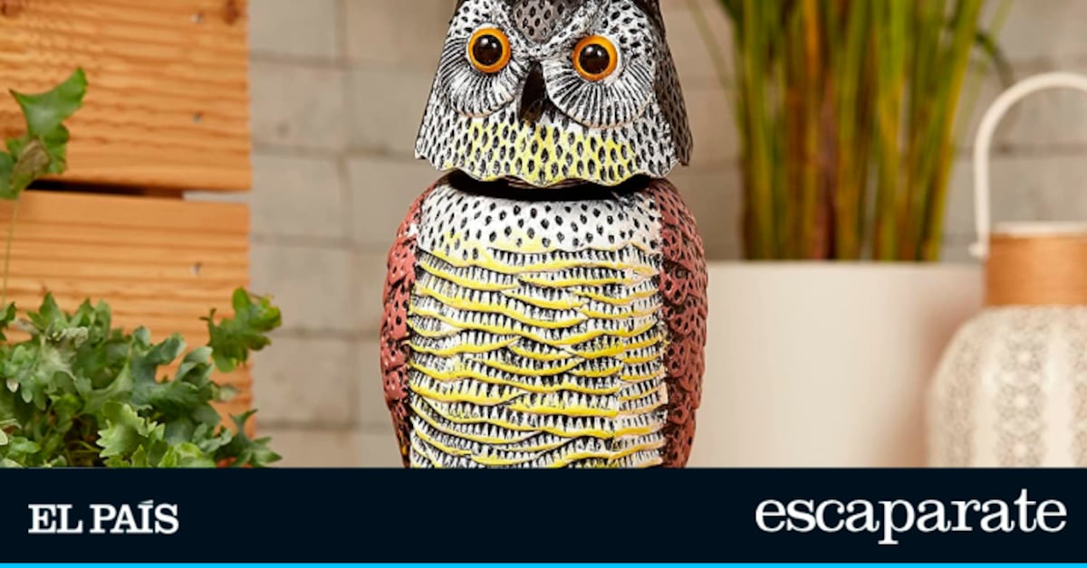 Este espantapájaros con forma de búho ahuyenta a las aves de forma natural |  Lo más vendido |  Escapar