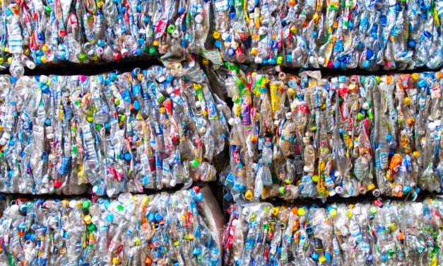 Cómo aumentar la tasa de reciclaje de plásticos | MIT News